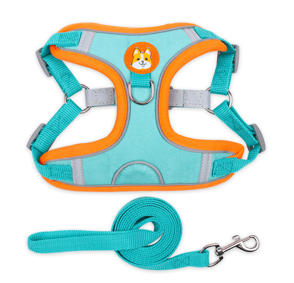 Pet Harness