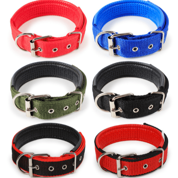 pet collar