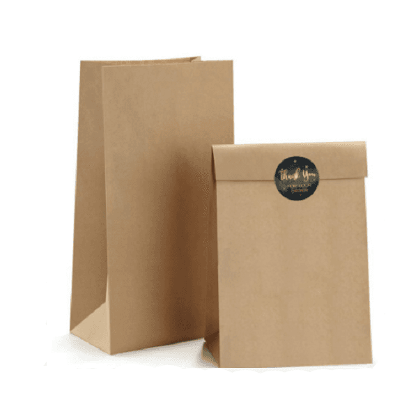 Brown Kraft paper bag